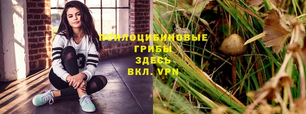 синтетический гашиш Алексин