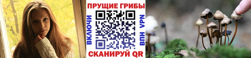 Галлюциногенные грибы Psilocybine cubensis  нарко площадка телеграм  Бирск 