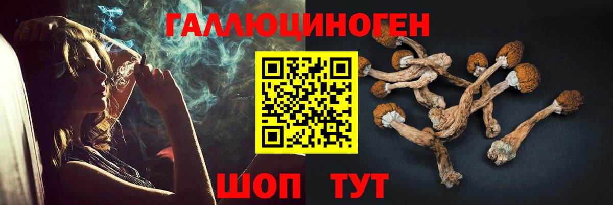 Галлюциногенные грибы Magic Shrooms Бирск